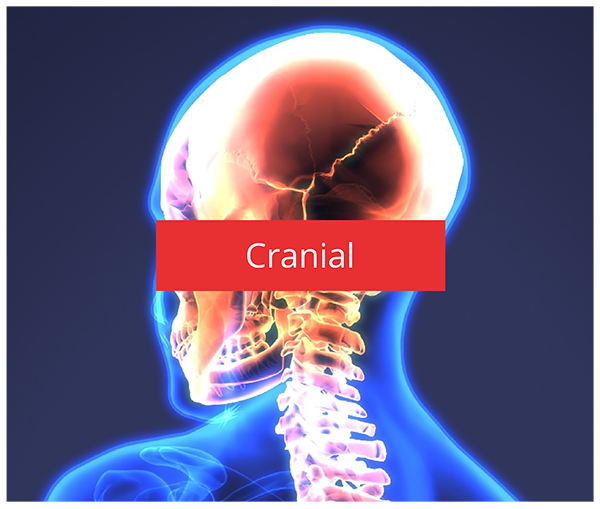 Cranial Surgeries