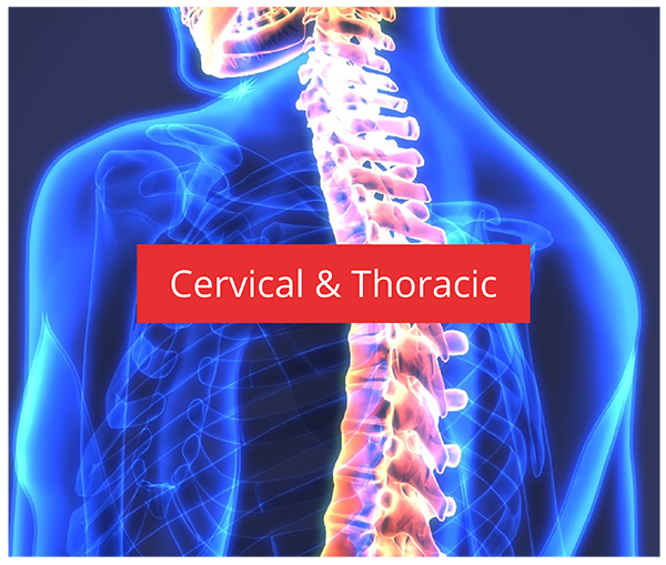 Cervical & Thoracic Surgeries