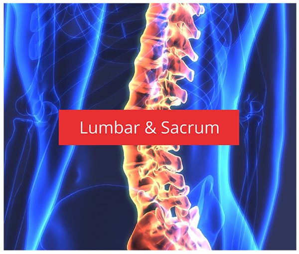 Lumbar  & Sacrum Surgeries